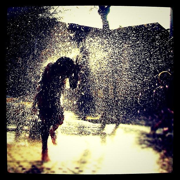 Fountain Photograph - A #fountain Of Fun. #drops Of #water by Robbert Ter Weijden