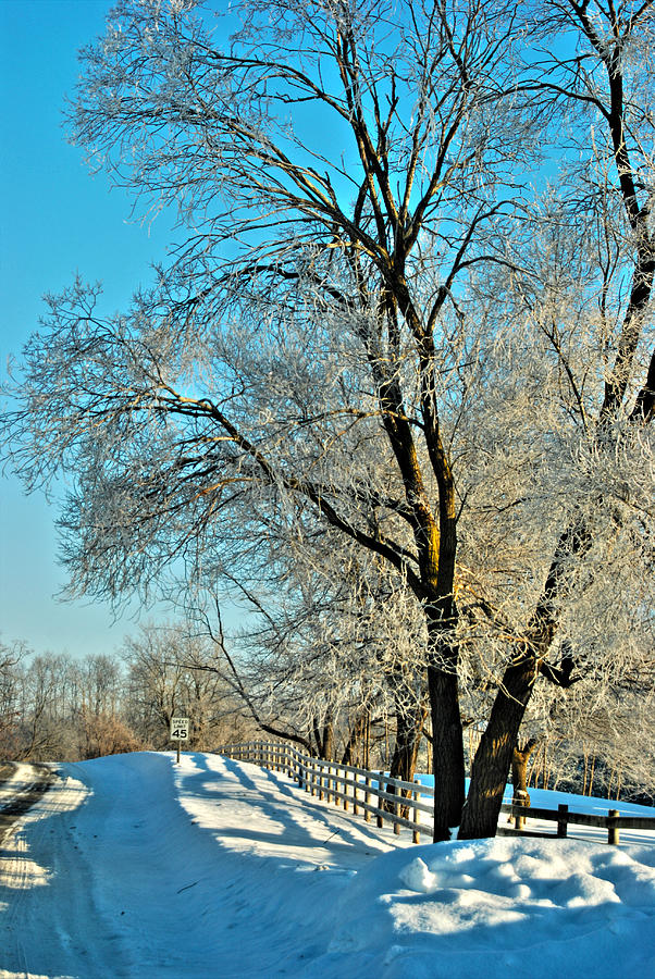A Frosty Morning Photograph by Janice Adomeit