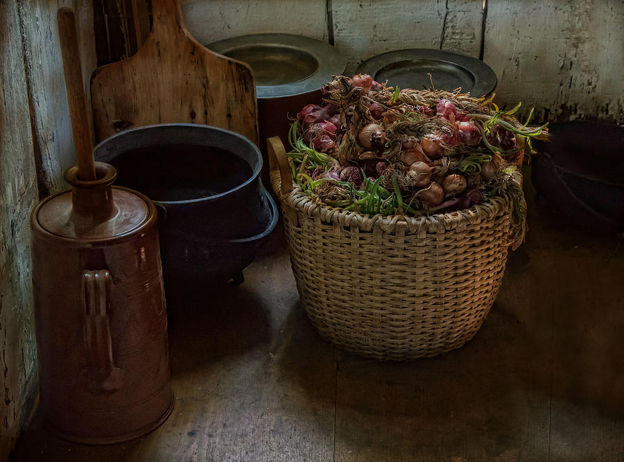 A Full Basket Photograph by Robin-Lee Vieira