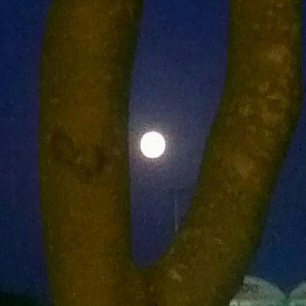 A Full Moon......its When The Werewolfs Photograph by Megan Walker