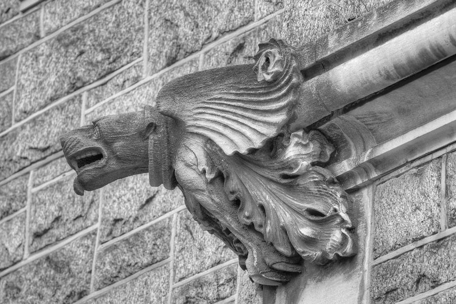 A Gargoyle Profile Photograph by Dennis Dame