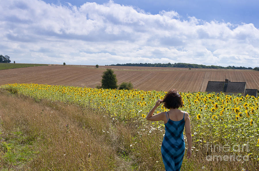 A girl walking in a field of sunflowers Photograph by Andrew  Michael