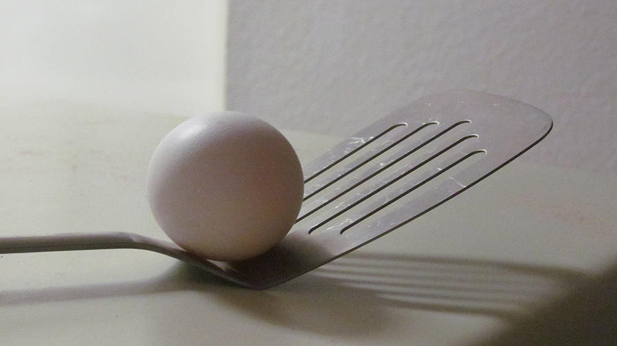 A Good Egg Photograph by Loretta Pokorny