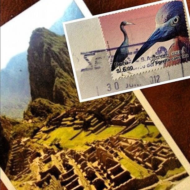 Egret Photograph - A Good Mail Day by Travel Designed