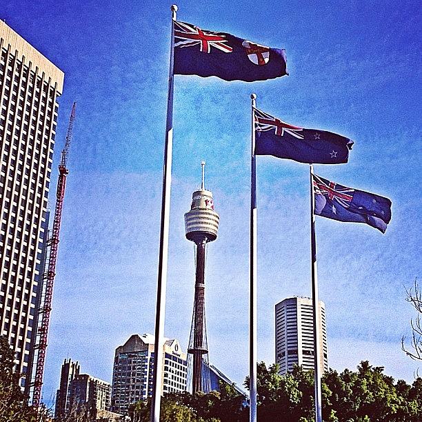 Spring Photograph - A Gorgeous Day In Sydney. Our Flags by Emily Hames