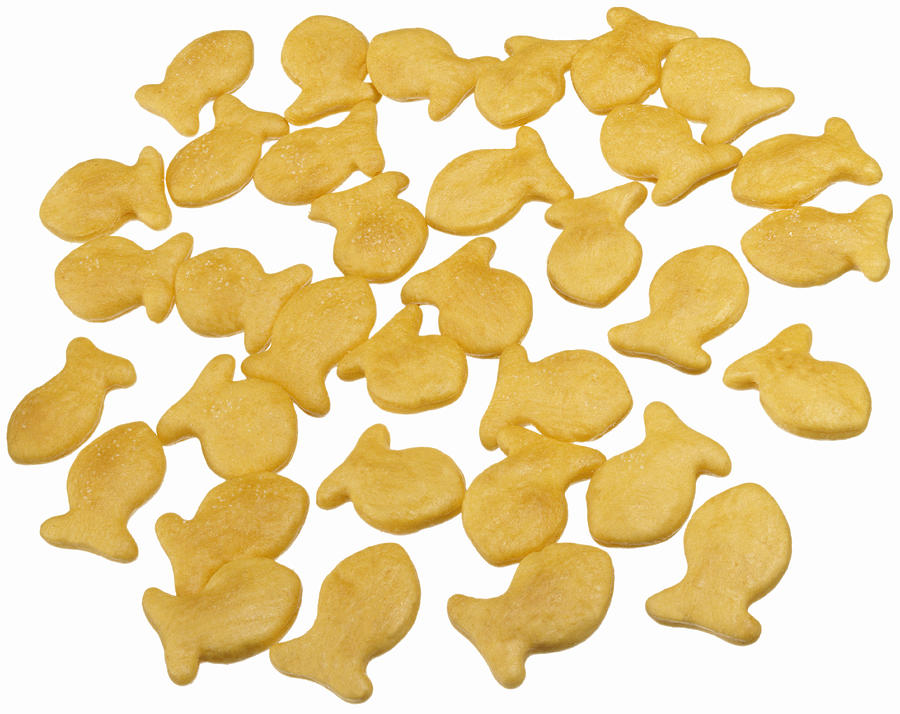 A Group Of Cheese Crackers Shaped Like Fish Photograph By Steve Wisbauer