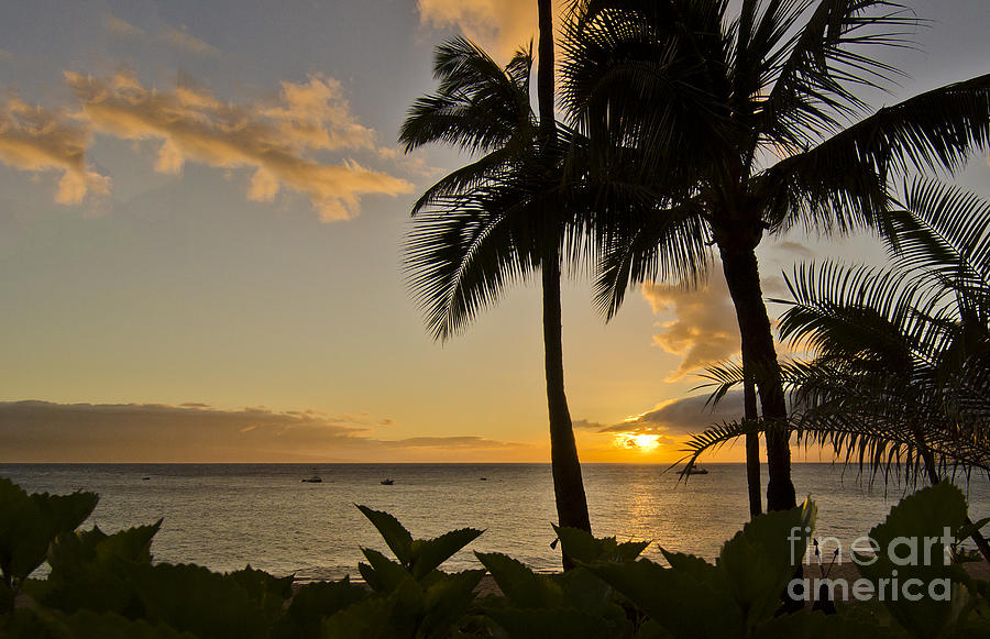 A Hawaiian Sunset Photograph by Mary Jane Armstrong