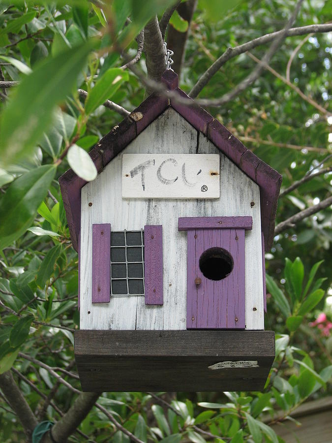 A Horned Frog Birdhouse Photograph by Shawn Hughes