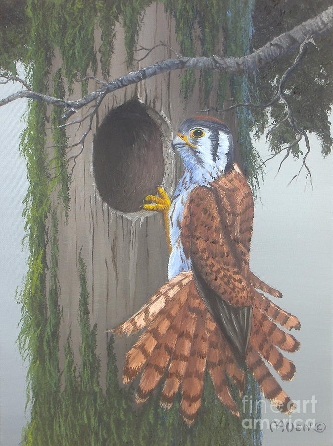 Falcon Painting - A Kestrel Home by Michael Allen