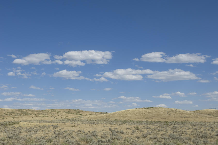 A Landscape Of Malta, Montana by Joel Sartore