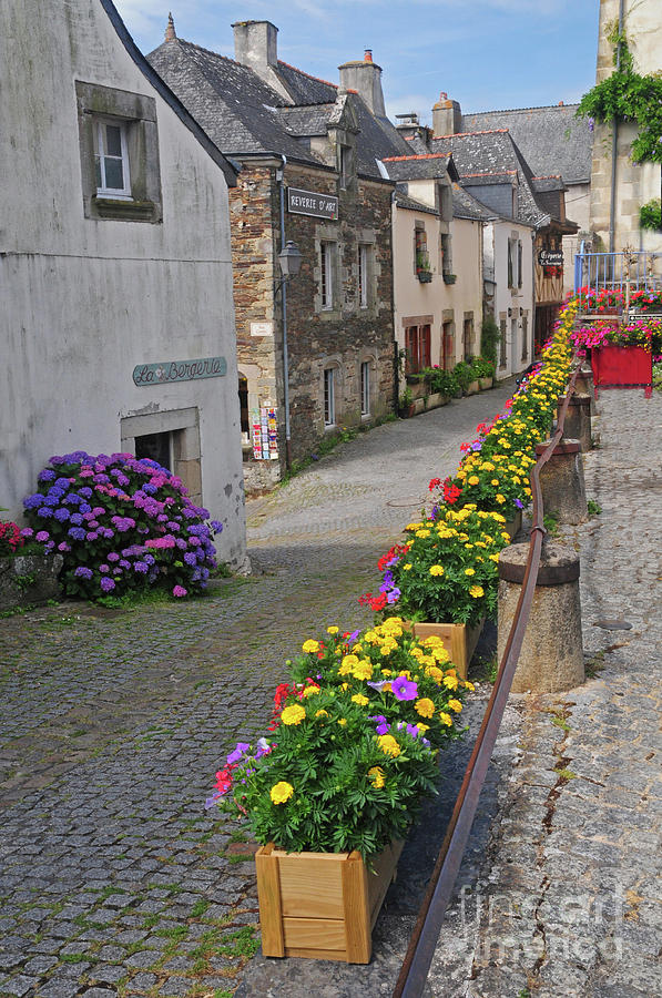 A Line of Flowers in a French Village Photograph by Dave Mills