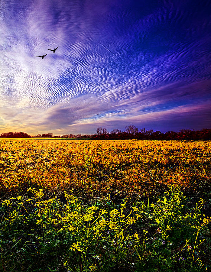 Landscape Photograph - A Little Further South by Phil Koch