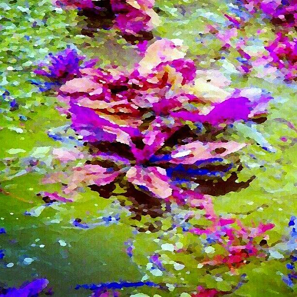 Abstract Photograph - A Little Like Water Lilies - Weeds In A by Marianne Dow