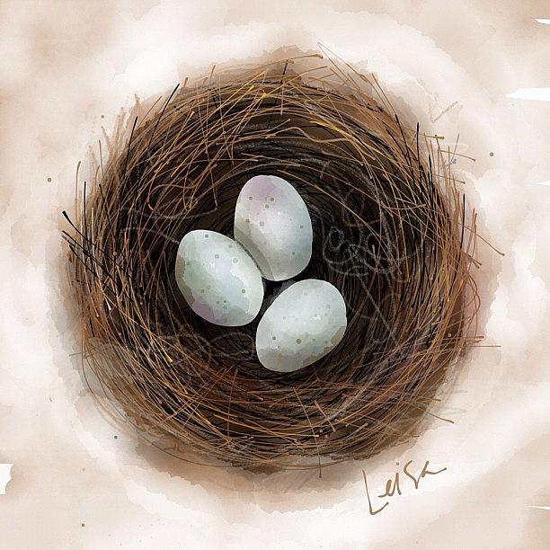 Egg Photograph - A Little Nest by Leisa Artus