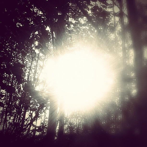 A #lomob Sunburst To Chase The Rain Photograph by Eimear Hewitt
