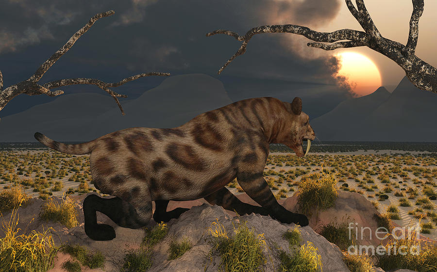 Wildlife Digital Art - A Lone Sabre Tooth Tiger Observes by Mark Stevenson