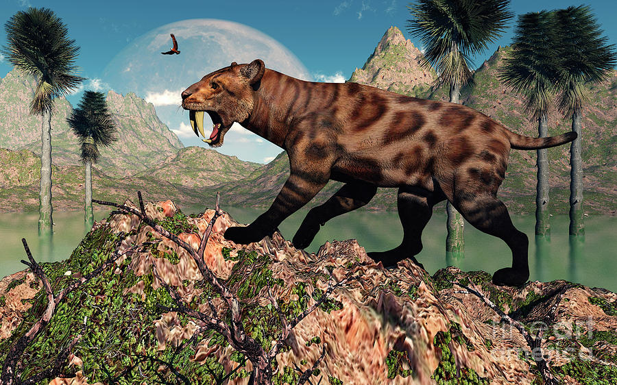 Wildlife Digital Art - A Lone Sabre-toothed Tiger by Mark Stevenson