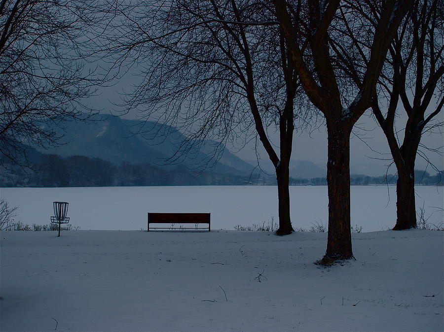 A Lonely Winter Photograph by Monica Veraguth - Fine Art America