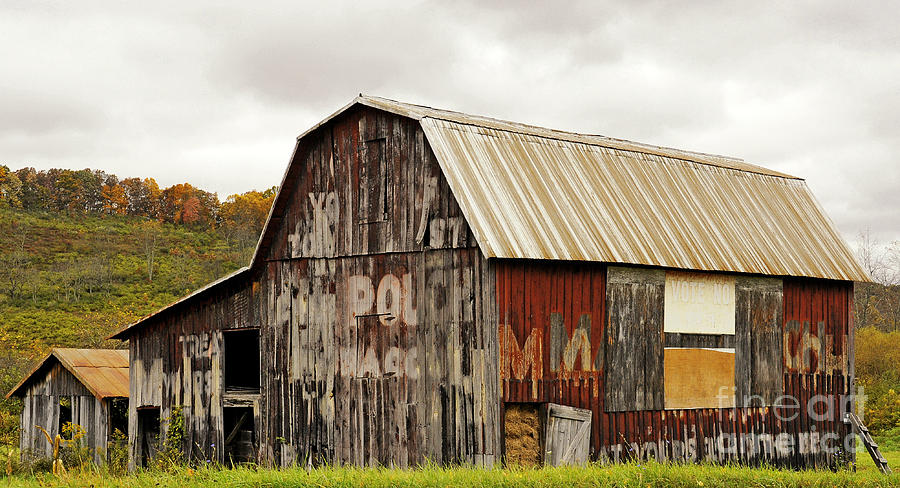 A Mail Pouch Barn in West Virginia Photograph by Kathleen K Parker