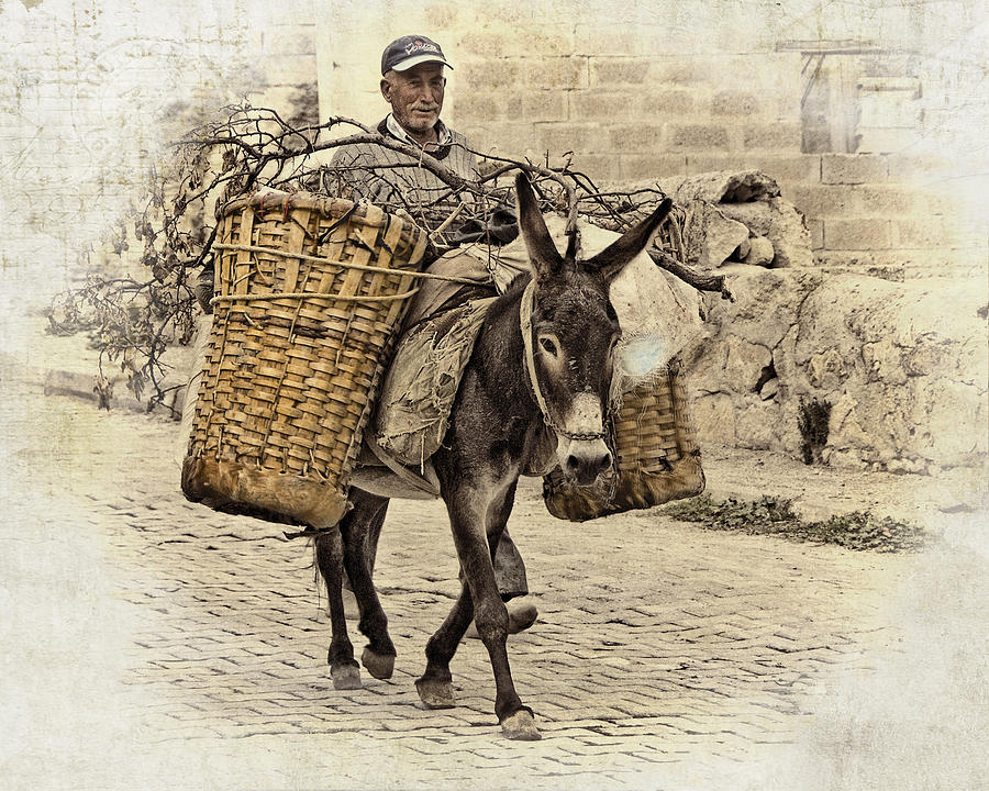 A Man and His Donkey Photograph by Betty Eich