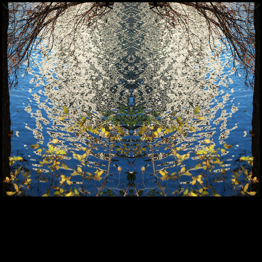 Tree Photograph - A Mirror Image of Sparkling Water Reflection by Jennifer Holcombe