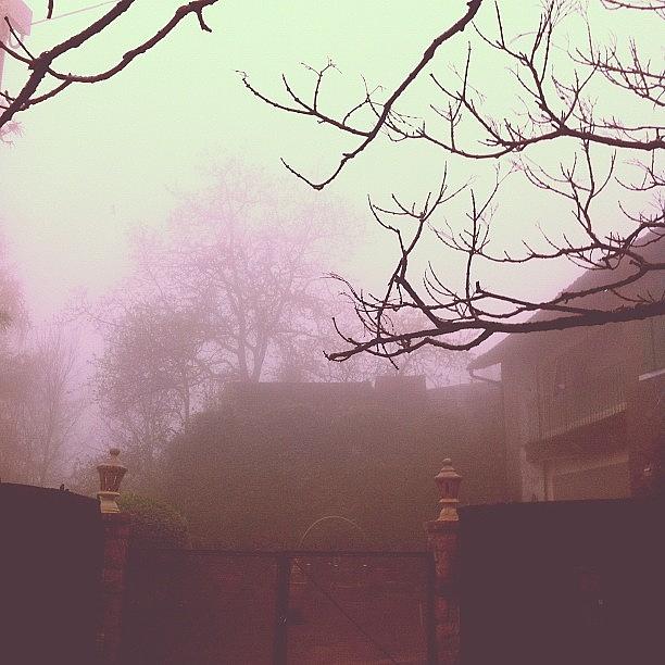 Italy Photograph - A Misty Morning 
#fog #italy #lombardy by Ann K