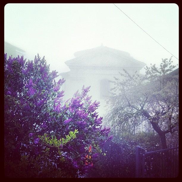 Spring Photograph - A Misty Morning
#fog #church #lilac by Ann K