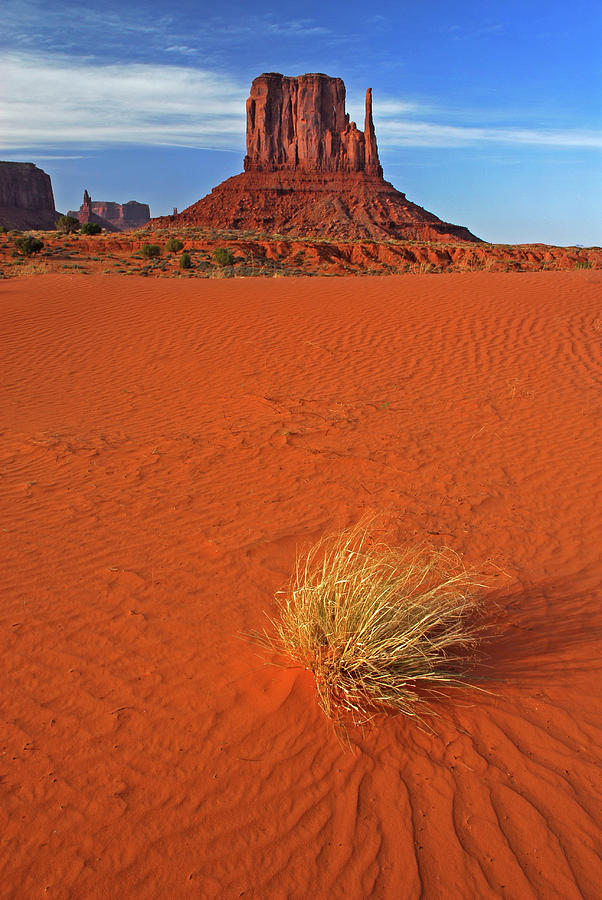 A Monument Valley View Photograph by Dave Mills