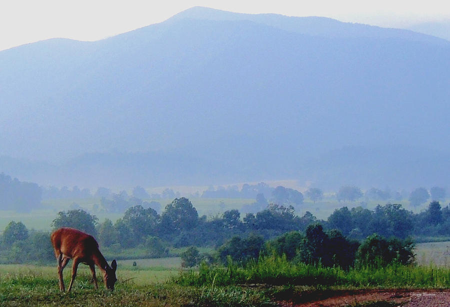 A Morning at Cades Cove Photograph by George Bostian