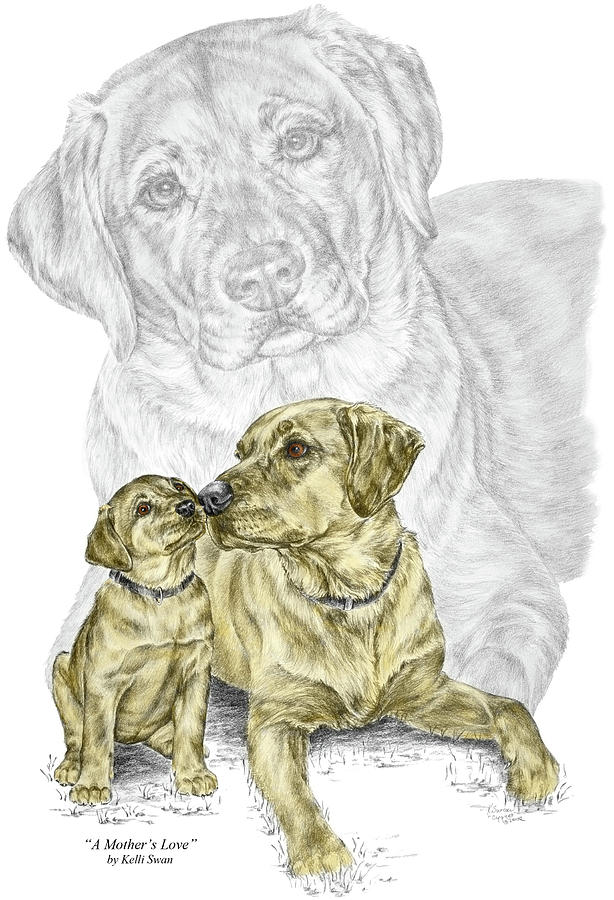 A Mothers Love - Labrador Dog Print color tinted Drawing by Kelli Swan