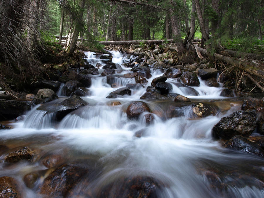 A Mountain Stream Photograph by DeeLon Merritt