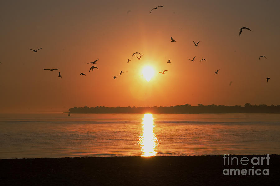 A new day dawning Photograph by Cheryl Cencich - Fine Art America