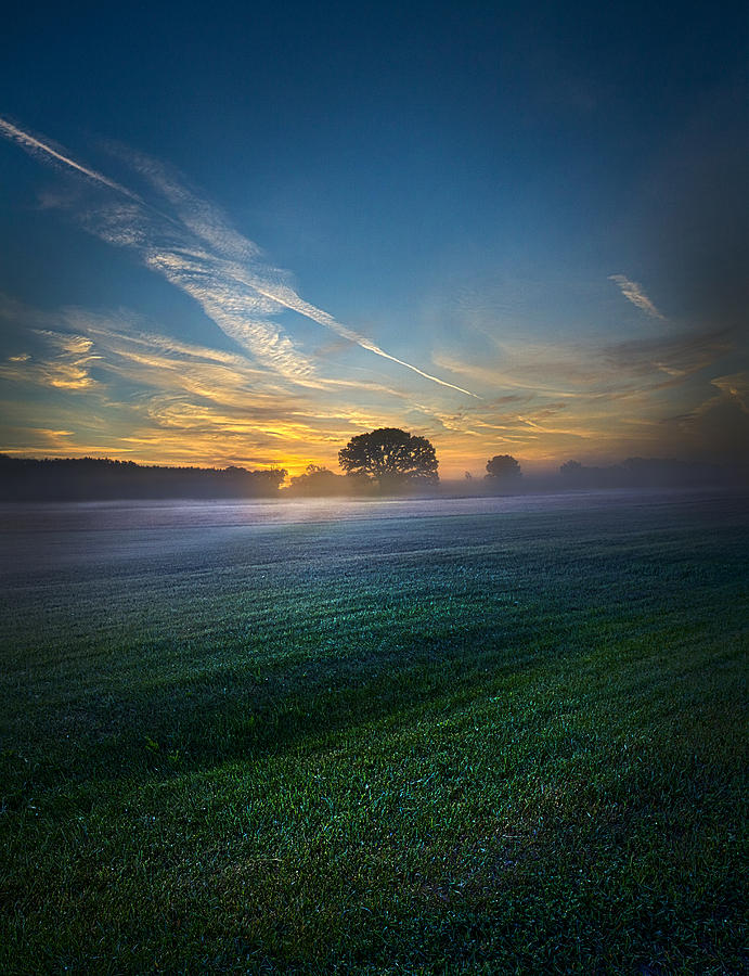 Landscape Photograph - A New Day by Phil Koch