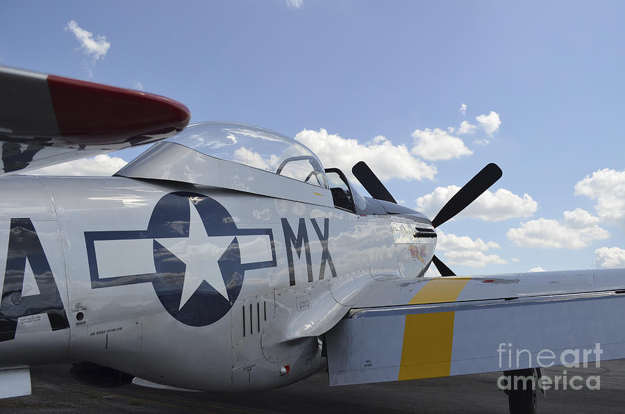 Transportation Photograph - A North American F-51d Mustang by Stocktrek Images