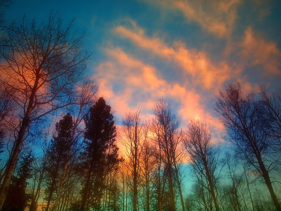 A Northern Sky Photograph by Tara Turner - Fine Art America