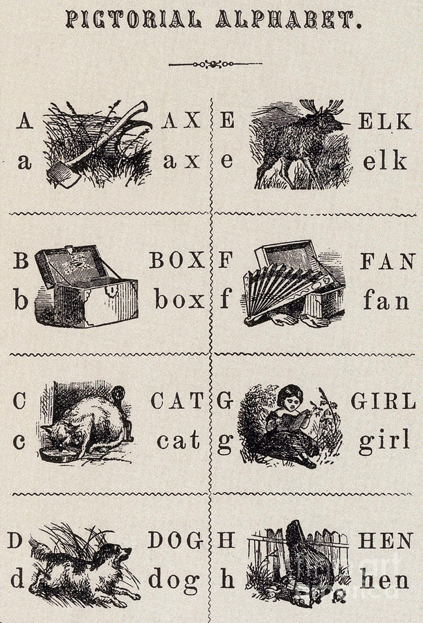 A Page From The Pictorial Alphabet Photograph by Photo Researchers