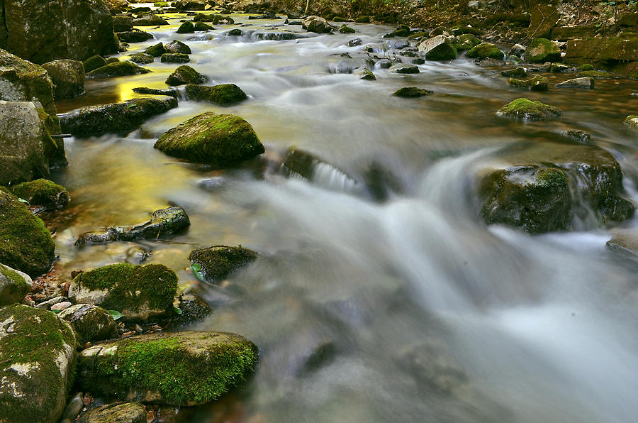 A Painted Stream Photograph by Jeff Rose