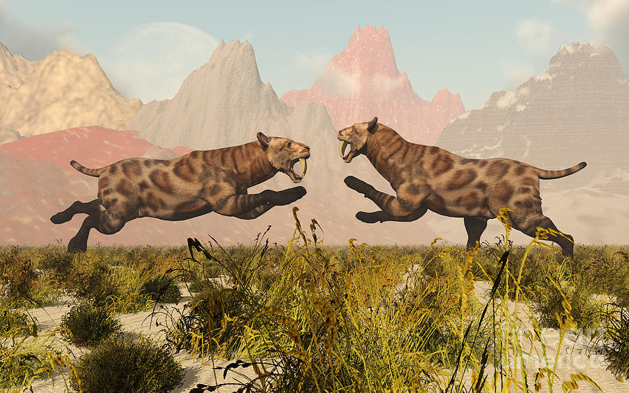 Wildlife Digital Art - A Pair Of Sabre Tooth Tigers In A Fight by Mark Stevenson