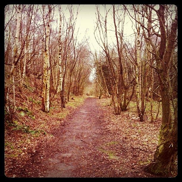 A Path I Stumbled Upon During My Lunch Photograph by Simon Round 