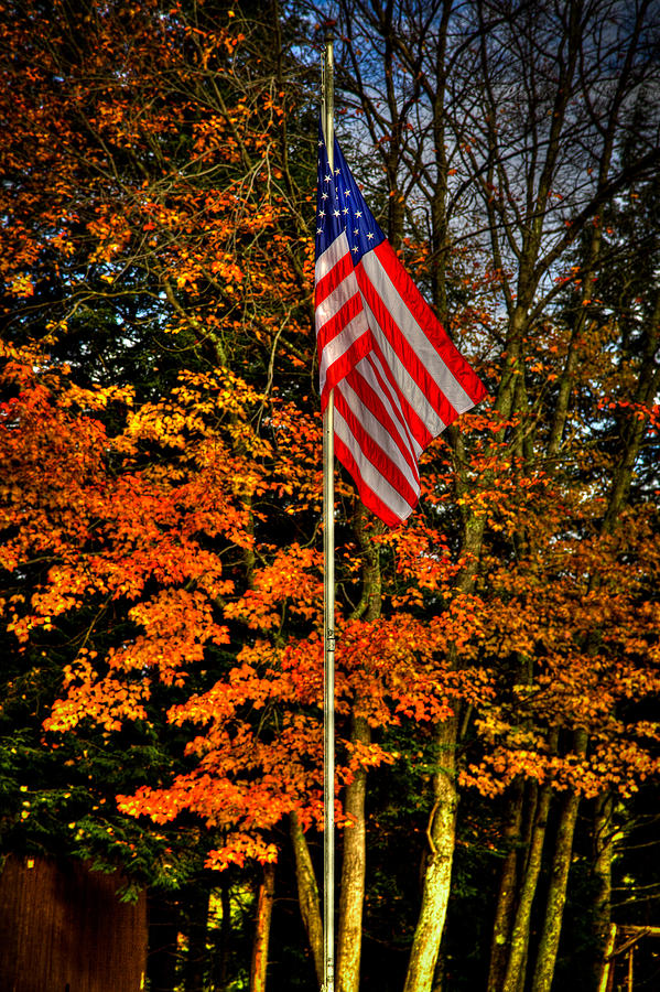 A Patriotic Autumn Photograph by David Patterson