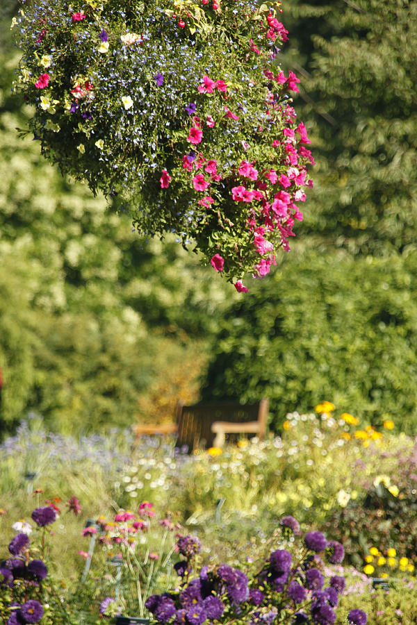 A Peaceful Gardens Photograph by Martina Fagan