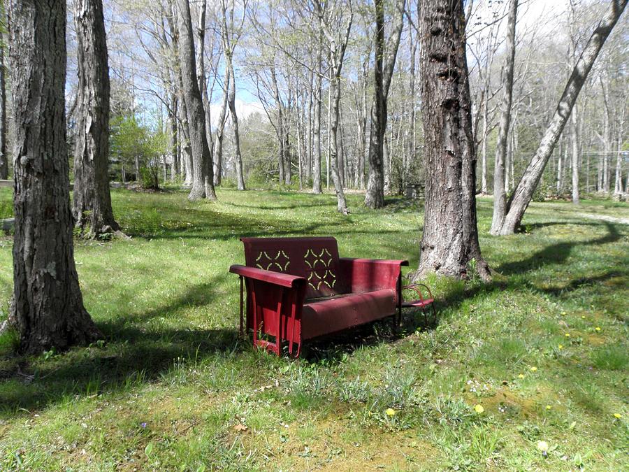 A perfect bench in the country Photograph by Kim Galluzzo Wozniak