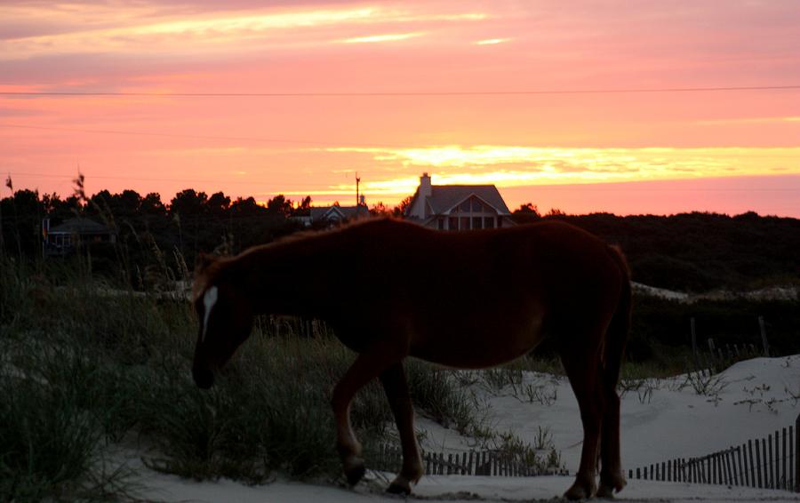 A Perfect Sunset at the Beach Photograph by Kim Galluzzo Wozniak