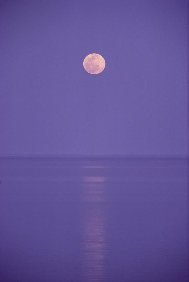 A Pink Full Moon Hangs Centered Over A Still Body Of Water In The ...