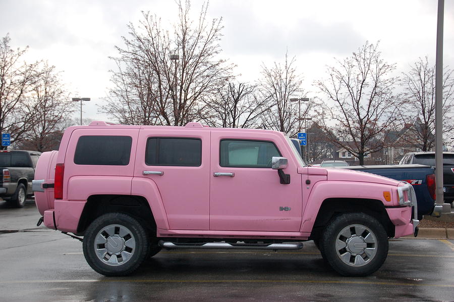 A Pink Hummer Photograph by Randy J Heath