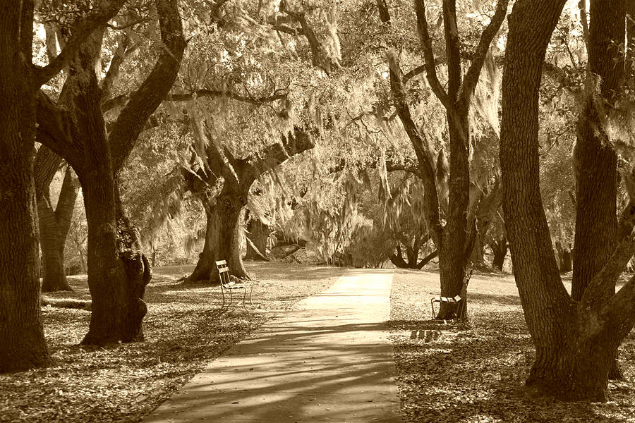 A Place for Contemplation in sepia Photograph by Suzanne Gaff
