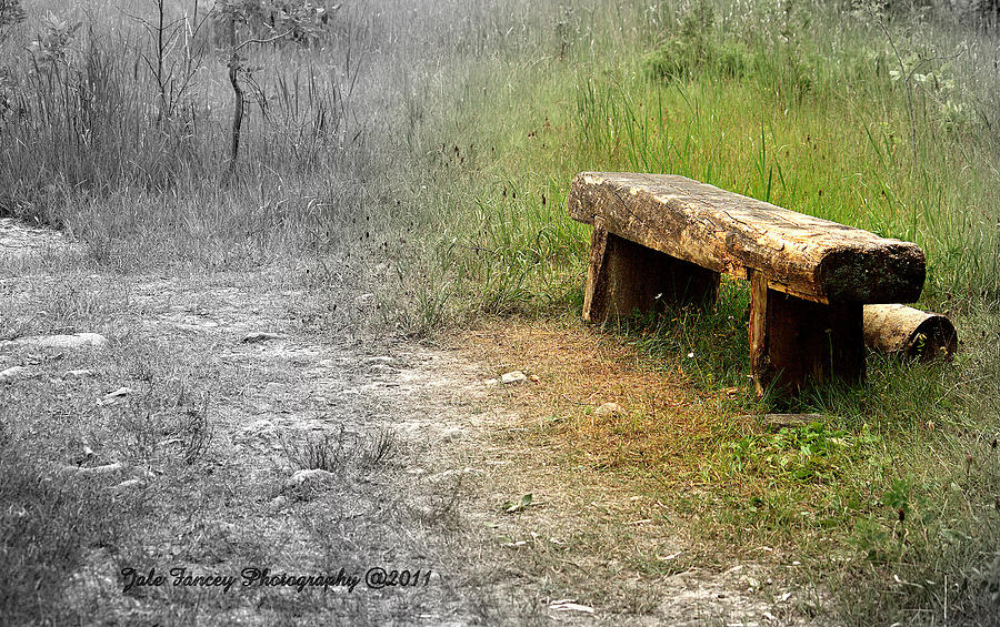 A Place to Sit Photograph by Jale Fancey