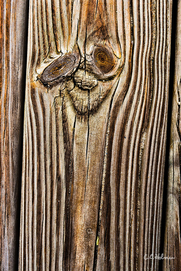 A Plank Face Photograph by Christopher Holmes