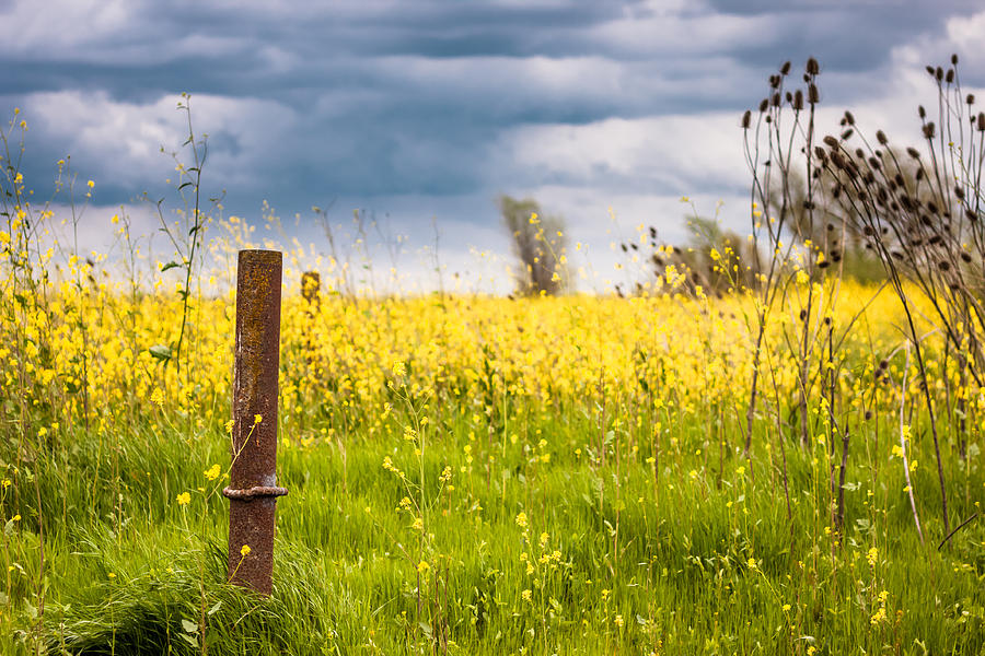 Landscape Photograph - A Post and a Storm by Chris Fullmer
