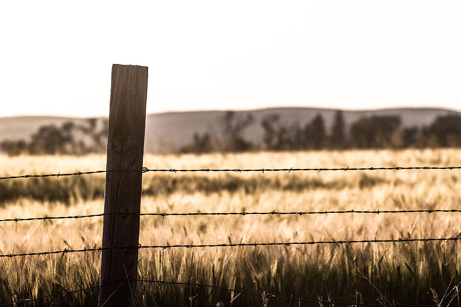 Idaho Photograph - A Post and Barbed Wire by Chris Fullmer Idaho Photograph - A Post and Barbed Wire by Chris Fullmer